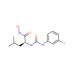 CC(C)C[C@H](NC(=O)Nc1cccc(Cl)c1)C(=O)NO ZINC000095591768