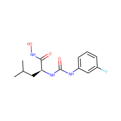 CC(C)C[C@H](NC(=O)Nc1cccc(F)c1)C(=O)NO ZINC000095591100