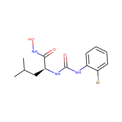 CC(C)C[C@H](NC(=O)Nc1ccccc1Br)C(=O)NO ZINC000095590753