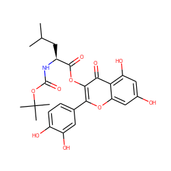 CC(C)C[C@H](NC(=O)OC(C)(C)C)C(=O)Oc1c(-c2ccc(O)c(O)c2)oc2cc(O)cc(O)c2c1=O ZINC000042990115