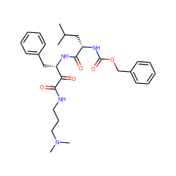 CC(C)C[C@H](NC(=O)OCc1ccccc1)C(=O)N[C@@H](Cc1ccccc1)C(=O)C(=O)NCCCN(C)C ZINC000064564362