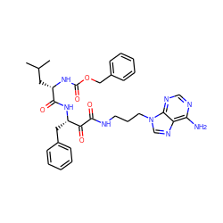 CC(C)C[C@H](NC(=O)OCc1ccccc1)C(=O)N[C@@H](Cc1ccccc1)C(=O)C(=O)NCCCn1cnc2c(N)ncnc21 ZINC000064490707