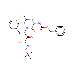 CC(C)C[C@H](NC(=O)OCc1ccccc1)C(=O)N[C@@H](Cc1ccccc1)C(=O)C(=O)NOC(C)(C)C ZINC000026577767