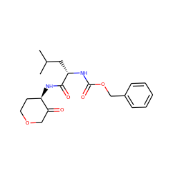 CC(C)C[C@H](NC(=O)OCc1ccccc1)C(=O)N[C@@H]1CCOCC1=O ZINC000013862018