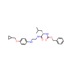 CC(C)C[C@H](NC(=O)OCc1ccccc1)C(=O)NCCNc1ccc(OCC2CC2)cc1 ZINC000013490286