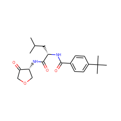 CC(C)C[C@H](NC(=O)c1ccc(C(C)(C)C)cc1)C(=O)N[C@@H]1COCC1=O ZINC000026157915