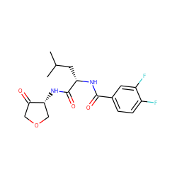 CC(C)C[C@H](NC(=O)c1ccc(F)c(F)c1)C(=O)N[C@@H]1COCC1=O ZINC000026154477