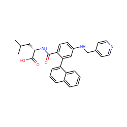 CC(C)C[C@H](NC(=O)c1ccc(NCc2ccncc2)cc1-c1cccc2ccccc12)C(=O)O ZINC000013796746