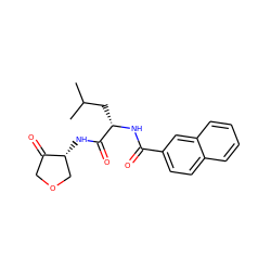 CC(C)C[C@H](NC(=O)c1ccc2ccccc2c1)C(=O)N[C@@H]1COCC1=O ZINC000000590300