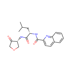 CC(C)C[C@H](NC(=O)c1ccc2ccccc2n1)C(=O)N[C@@H]1COCC1=O ZINC000000590301