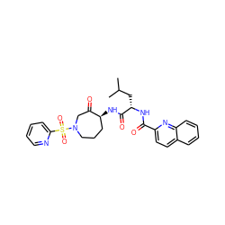 CC(C)C[C@H](NC(=O)c1ccc2ccccc2n1)C(=O)N[C@H]1CCCN(S(=O)(=O)c2ccccn2)CC1=O ZINC000028524732