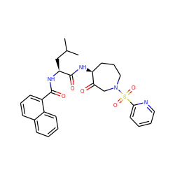 CC(C)C[C@H](NC(=O)c1cccc2ccccc12)C(=O)N[C@H]1CCCN(S(=O)(=O)c2ccccn2)CC1=O ZINC000028525766