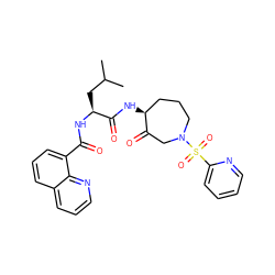 CC(C)C[C@H](NC(=O)c1cccc2cccnc12)C(=O)N[C@H]1CCCN(S(=O)(=O)c2ccccn2)CC1=O ZINC000028525232