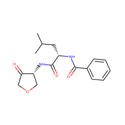 CC(C)C[C@H](NC(=O)c1ccccc1)C(=O)N[C@@H]1COCC1=O ZINC000029568761