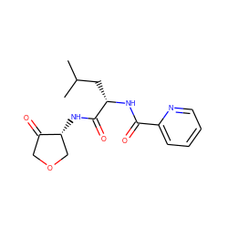 CC(C)C[C@H](NC(=O)c1ccccn1)C(=O)N[C@@H]1COCC1=O ZINC000029569456