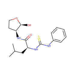 CC(C)C[C@H](NC(=S)Nc1ccccc1)C(=O)N[C@H]1CCO[C@H]1O ZINC000003988822