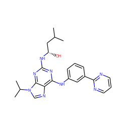 CC(C)C[C@H](O)Nc1nc(Nc2cccc(-c3ncccn3)c2)c2ncn(C(C)C)c2n1 ZINC000103186696