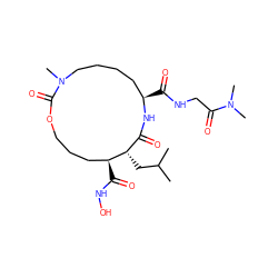 CC(C)C[C@H]1C(=O)N[C@H](C(=O)NCC(=O)N(C)C)CCCCN(C)C(=O)OCCC[C@@H]1C(=O)NO ZINC000026579660