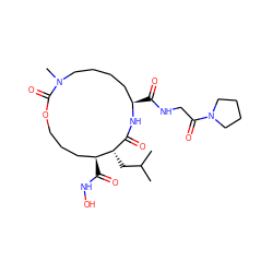 CC(C)C[C@H]1C(=O)N[C@H](C(=O)NCC(=O)N2CCCC2)CCCCN(C)C(=O)OCCC[C@@H]1C(=O)NO ZINC000026642140