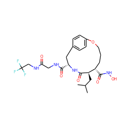 CC(C)C[C@H]1C(=O)N[C@H](C(=O)NCC(=O)NCC(F)(F)F)Cc2ccc(cc2)OCCC[C@@H]1C(=O)NO ZINC000026640083