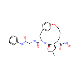 CC(C)C[C@H]1C(=O)N[C@H](C(=O)NCC(=O)Nc2ccccc2)Cc2ccc(cc2)OCCC[C@@H]1C(=O)NO ZINC000026579692