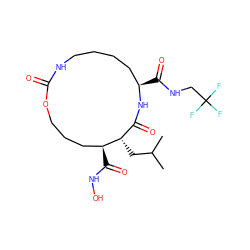 CC(C)C[C@H]1C(=O)N[C@H](C(=O)NCC(F)(F)F)CCCCNC(=O)OCCC[C@@H]1C(=O)NO ZINC000026579092