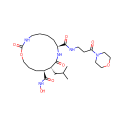 CC(C)C[C@H]1C(=O)N[C@H](C(=O)NCCC(=O)N2CCOCC2)CCCCNC(=O)OCCC[C@@H]1C(=O)NO ZINC000026577809