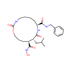 CC(C)C[C@H]1C(=O)N[C@H](C(=O)NCc2ccccc2)CCCCNC(=O)OCCC[C@@H]1C(=O)NO ZINC000026579317