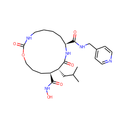 CC(C)C[C@H]1C(=O)N[C@H](C(=O)NCc2ccncc2)CCCCNC(=O)OCCC[C@@H]1C(=O)NO ZINC000026579608