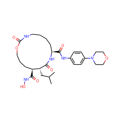 CC(C)C[C@H]1C(=O)N[C@H](C(=O)Nc2ccc(N3CCOCC3)cc2)CCCCNC(=O)OCCC[C@@H]1C(=O)NO ZINC000026577619