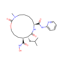 CC(C)C[C@H]1C(=O)N[C@H](C(=O)Nc2ccccn2)CCCCN(C)C(=O)OCCC[C@@H]1C(=O)NO ZINC000026579149