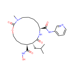 CC(C)C[C@H]1C(=O)N[C@H](C(=O)Nc2cccnc2)CCCCN(C)C(=O)OCCC[C@@H]1C(=O)NO ZINC000026579095