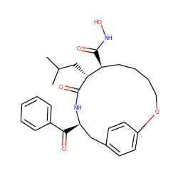 CC(C)C[C@H]1C(=O)N[C@H](C(=O)c2ccccc2)Cc2ccc(cc2)OCCCC[C@@H]1C(=O)NO ZINC000100820059