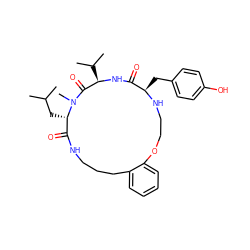 CC(C)C[C@H]1C(=O)NCCCc2ccccc2OCCN[C@H](Cc2ccc(O)cc2)C(=O)N[C@H](C(C)C)C(=O)N1C ZINC000036160639