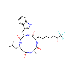 CC(C)C[C@H]1CC(=O)N[C@@H](C)C(=O)N[C@@H](CCCCCC(=O)C(F)(F)F)C(=O)N[C@@H](Cc2c[nH]c3ccccc23)C(=O)N1 ZINC000084604893