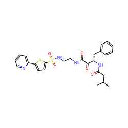 CC(C)CC(=O)N[C@@H](Cc1ccccc1)C(=O)C(=O)NCCNS(=O)(=O)c1ccc(-c2ccccn2)s1 ZINC000026393979