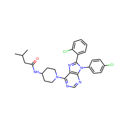 CC(C)CC(=O)NC1CCN(c2ncnc3c2nc(-c2ccccc2Cl)n3-c2ccc(Cl)cc2)CC1 ZINC000096937554