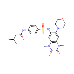 CC(C)CC(=O)Nc1ccc(S(=O)(=O)Nc2cc3c(cc2N2CCOCC2)n(C)c(=O)c(=O)n3C)cc1 ZINC000008604833