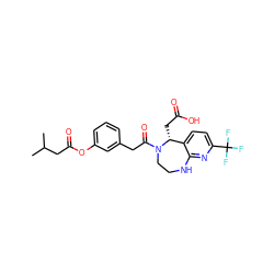 CC(C)CC(=O)Oc1cccc(CC(=O)N2CCNc3nc(C(F)(F)F)ccc3[C@H]2CC(=O)O)c1 ZINC000299821905