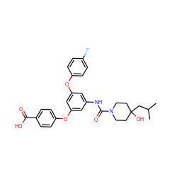 CC(C)CC1(O)CCN(C(=O)Nc2cc(Oc3ccc(F)cc3)cc(Oc3ccc(C(=O)O)cc3)c2)CC1 ZINC000224451279