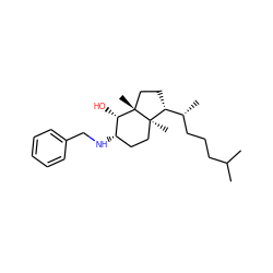 CC(C)CCC[C@@H](C)[C@H]1CC[C@@]2(C)[C@@H](O)[C@@H](NCc3ccccc3)CC[C@]12C ZINC000095588003