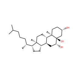 CC(C)CCC[C@@H](C)[C@H]1CC[C@H]2[C@@H]3C[C@@H](O)[C@@]4(O)C[C@@H](O)CC[C@]4(C)[C@H]3CC[C@@]21C ZINC000004096710