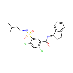 CC(C)CCNS(=O)(=O)c1cc(C(=O)N[C@@H]2CCc3ccccc32)c(Cl)cc1Cl ZINC000000590318