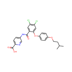 CC(C)CCOc1ccc(Oc2cc(Cl)c(Cl)cc2C(=O)Nc2ccc(C(=O)O)nc2)cc1 ZINC000143156895