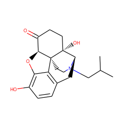 CC(C)CN1CC[C@]23c4c5ccc(O)c4O[C@H]2C(=O)CC[C@@]3(O)[C@H]1C5 ZINC000040950353