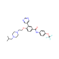 CC(C)CN1CCN(CCOc2ccc(C(=O)Nc3ccc(OC(F)(F)F)cc3)cc2-c2cncnc2)CC1 ZINC000205918660