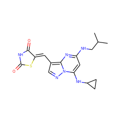 CC(C)CNc1cc(NC2CC2)n2ncc(/C=C3\SC(=O)NC3=O)c2n1 ZINC000117826963