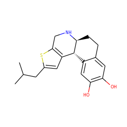 CC(C)Cc1cc2c(s1)CN[C@H]1CCc3cc(O)c(O)cc3[C@H]21 ZINC000013762030