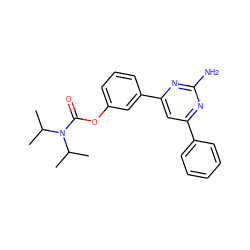 CC(C)N(C(=O)Oc1cccc(-c2cc(-c3ccccc3)nc(N)n2)c1)C(C)C ZINC000653773215