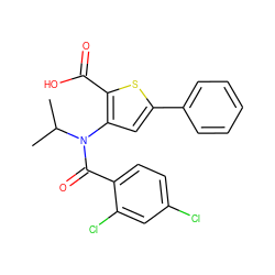 CC(C)N(C(=O)c1ccc(Cl)cc1Cl)c1cc(-c2ccccc2)sc1C(=O)O ZINC000012503546